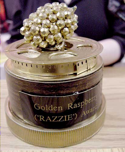 Golden Raspberry Awards 2013 Nominations
